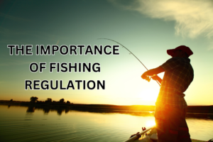 THE IMPORTANCE OF FISHING REGULATION